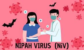 Nipah Virus Symptoms, Causes, and Treatment